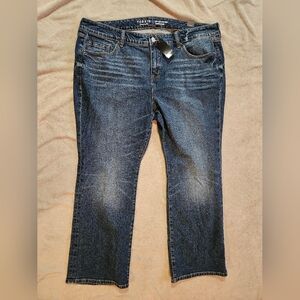 Torrid Jeans NWT 20short